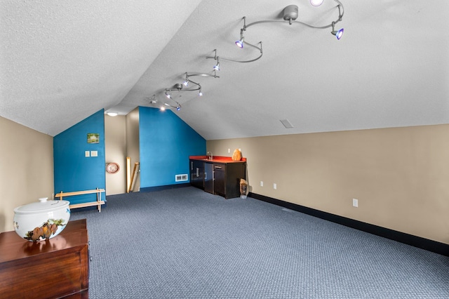 2334 Veterans Memorial Blvd NW, Andover, MN 55304 - bonus room featuring vaulted ceiling, carpet flooring, and a textured ceiling