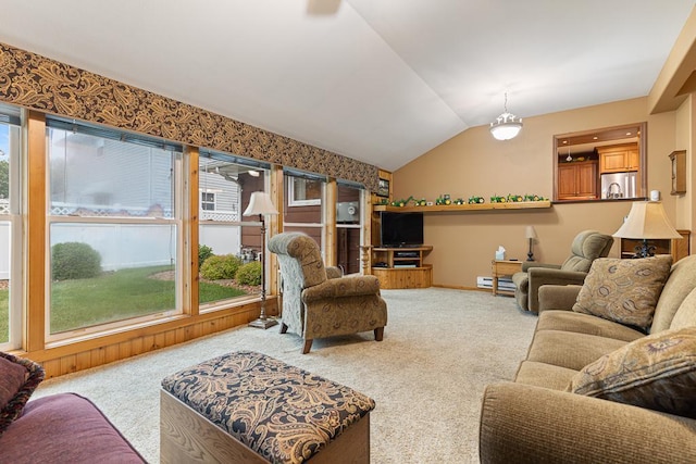 109 Pine Ave N, Canby, MN 56220 - living area featuring carpet flooring, plenty of natural light, a baseboard radiator, and lofted ceiling