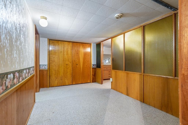 109 Pine Ave N, Canby, MN 56220 - hall featuring wooden walls and carpet flooring