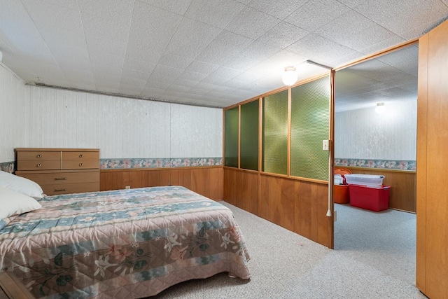 109 Pine Ave N, Canby, MN 56220 - carpeted bedroom featuring wooden walls and wainscoting