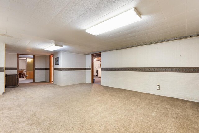 109 Pine Ave N, Canby, MN 56220 - finished below grade area with carpet and wainscoting