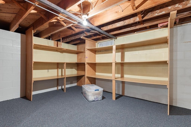 109 Pine Ave N, Canby, MN 56220 - view of storage