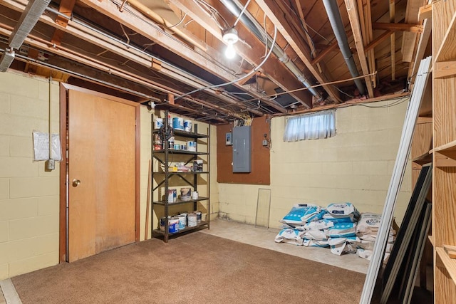 109 Pine Ave N, Canby, MN 56220 - unfinished below grade area with electric panel