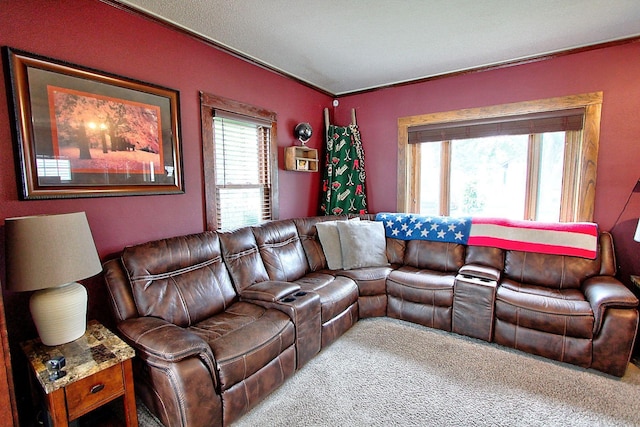 1936 5th St, Red Wing, MN 55066 - view of carpeted living area