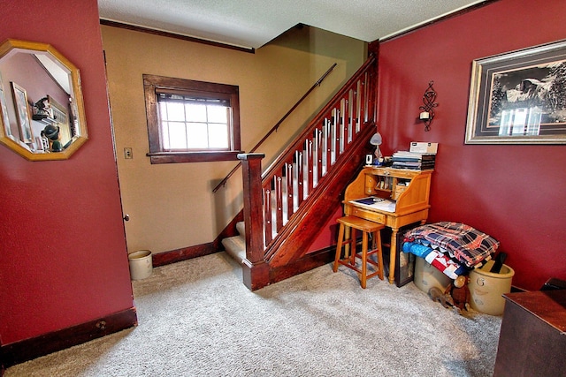 1936 5th St, Red Wing, MN 55066 - staircase with carpet floors and a textured ceiling