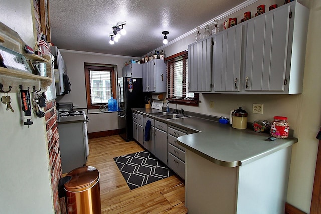 1936 5th St, Red Wing, MN 55066 - kitchen featuring freestanding refrigerator, gas range oven, ornamental molding, gray cabinets, and light wood-style flooring