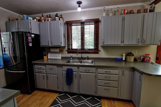 1936 5th St, Red Wing, MN 55066 - kitchen with freestanding refrigerator, light wood finished floors, crown molding, a textured ceiling, and gray cabinets