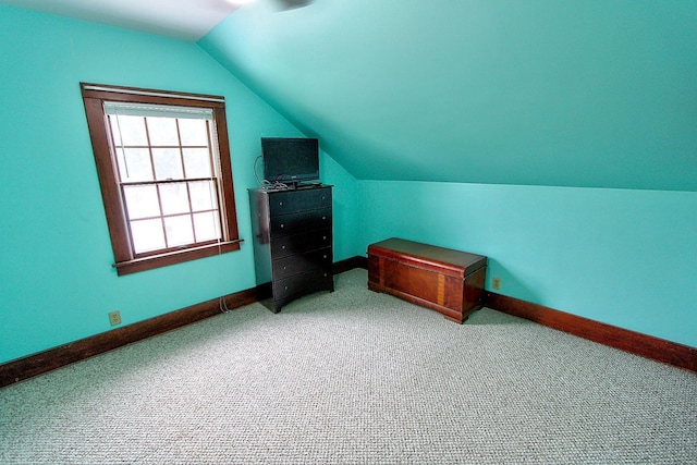 1936 5th St, Red Wing, MN 55066 - additional living space with lofted ceiling and carpet flooring