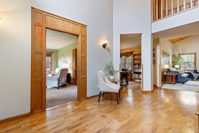 18505 210th Ave NE, Paynesville, MN 56362 - corridor with healthy amount of natural light, high vaulted ceiling, and light wood-style floors