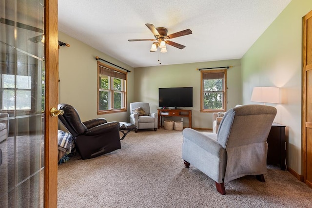 18505 210th Ave NE, Paynesville, MN 56362 - carpeted living area featuring plenty of natural light and ceiling fan