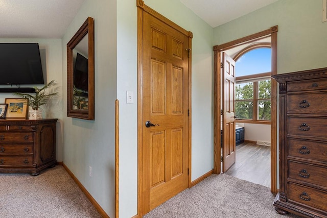 18505 210th Ave NE, Paynesville, MN 56362 - hallway featuring light carpet and baseboards