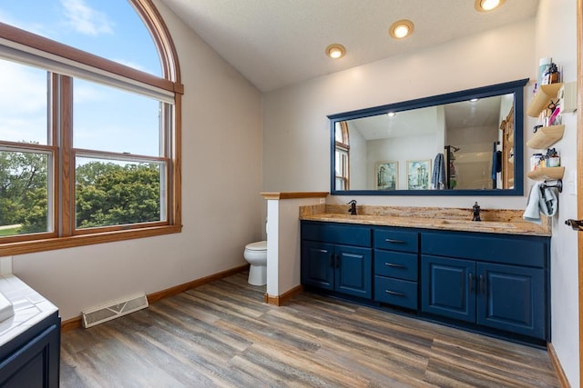 18505 210th Ave NE, Paynesville, MN 56362 - bathroom featuring wood finished floors, double vanity, plenty of natural light, lofted ceiling, and a shower