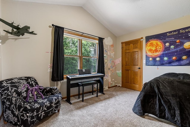 18505 210th Ave NE, Paynesville, MN 56362 - bedroom featuring vaulted ceiling and carpet