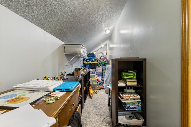 18505 210th Ave NE, Paynesville, MN 56362 - view of storage room