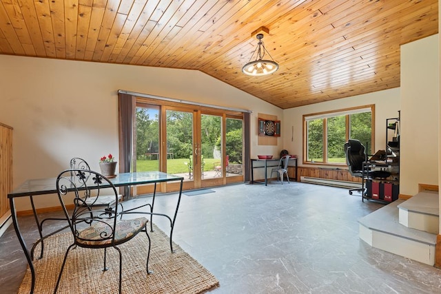 18505 210th Ave NE, Paynesville, MN 56362 - office with french doors, baseboard heating, plenty of natural light, vaulted ceiling, and wooden ceiling