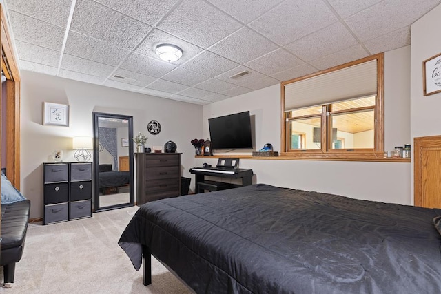 18505 210th Ave NE, Paynesville, MN 56362 - bedroom with carpet floors and a drop ceiling