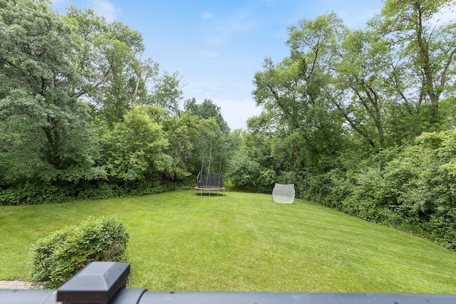 18505 210th Ave NE, Paynesville, MN 56362 - view of green lawn with a trampoline