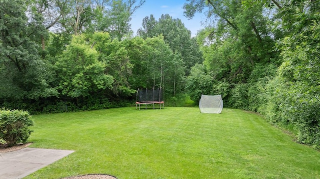 18505 210th Ave NE, Paynesville, MN 56362 - view of green lawn with a trampoline