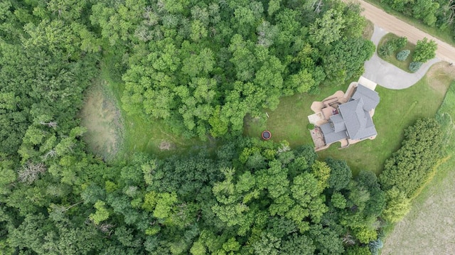 18505 210th Ave NE, Paynesville, MN 56362 - aerial view of property's location