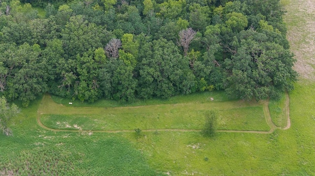 18505 210th Ave NE, Paynesville, MN 56362 - aerial overview of property's location
