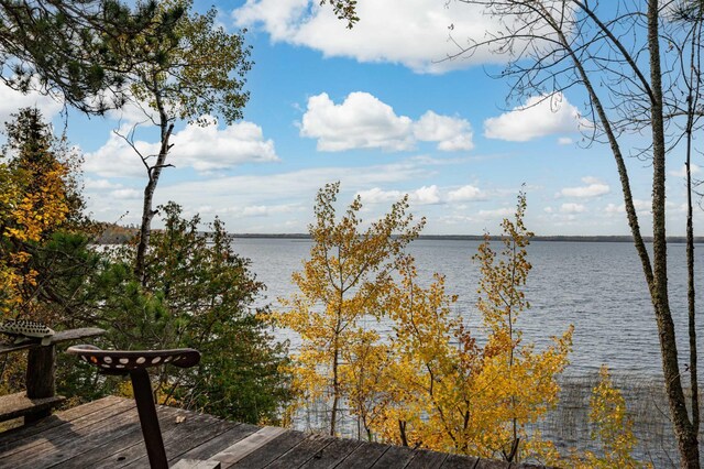 51641 Edgewater Rd, Spring Lake, MN 56680 - photo 52