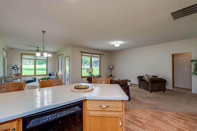 416 Buckshot Ct, Kenyon, MN 55946 - photo 8