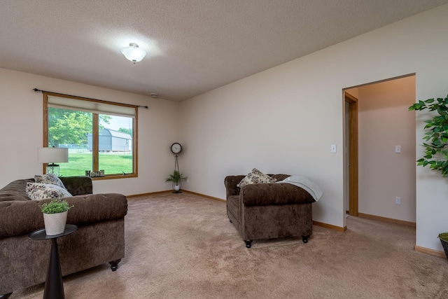 416 Buckshot Ct, Kenyon, MN 55946 - photo 9