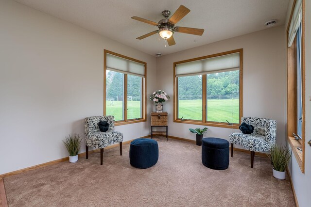 416 Buckshot Ct, Kenyon, MN 55946 - photo 16