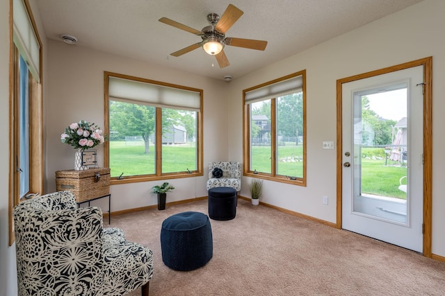 416 Buckshot Ct, Kenyon, MN 55946 - photo 17
