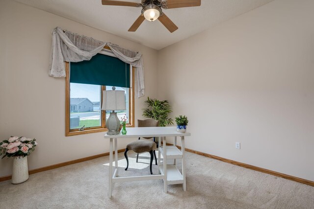416 Buckshot Ct, Kenyon, MN 55946 - photo 23