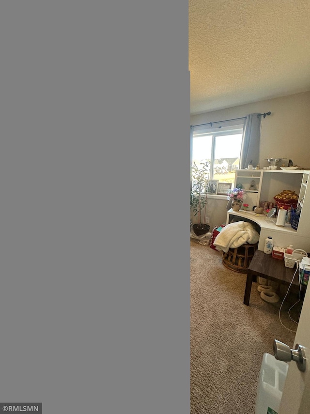 1004 Triumph Trl NE, Isanti, MN 55040 - bedroom featuring carpet floors and a textured ceiling