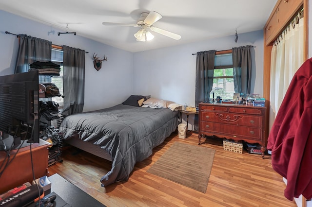 842 28th Ave N, Saint Cloud, MN 56303 - bedroom with wood finished floors and ceiling fan