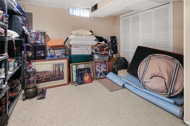 842 28th Ave N, Saint Cloud, MN 56303 - basement with carpet floors