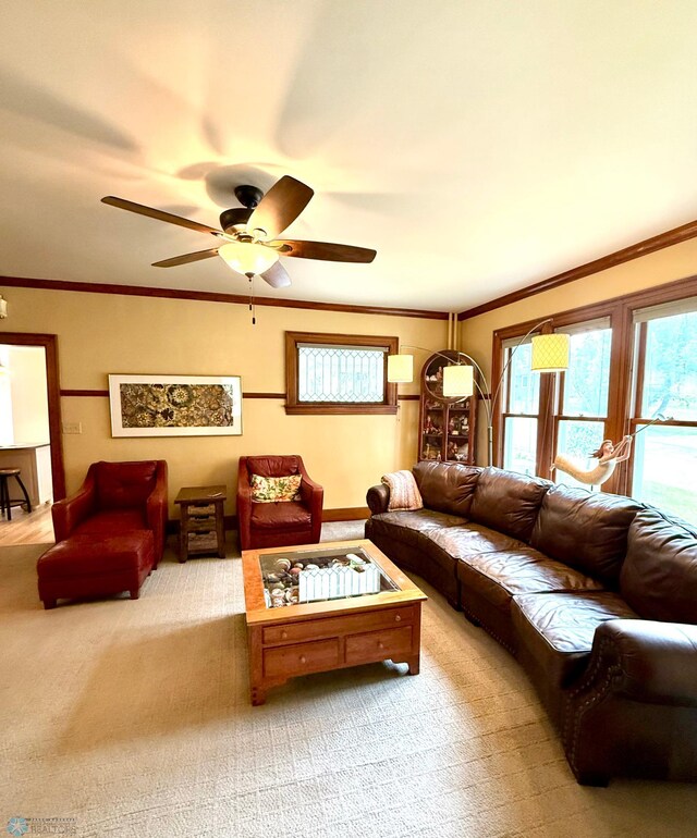 702 Ash St, Lisbon, ND 58054 - photo 14