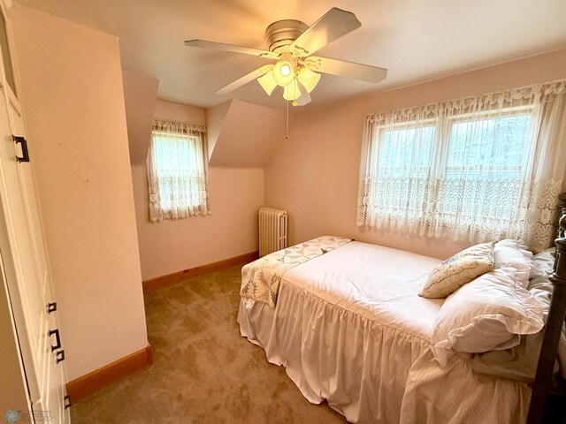 702 Ash St, Lisbon, ND 58054 - photo 45