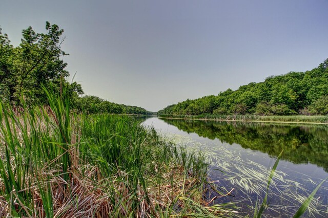 22896 Anchor Dr, Menahga, MN 56464 - water view featuring a heavily wooded area