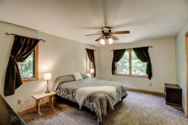 22896 Anchor Dr, Menahga, MN 56464 - bedroom featuring carpet and ceiling fan