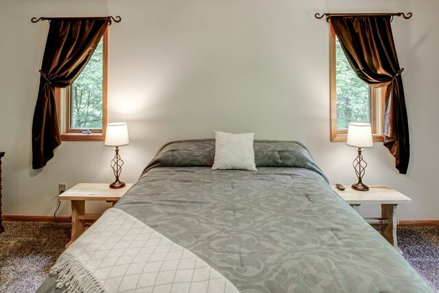 22896 Anchor Dr, Menahga, MN 56464 - carpeted bedroom featuring baseboards