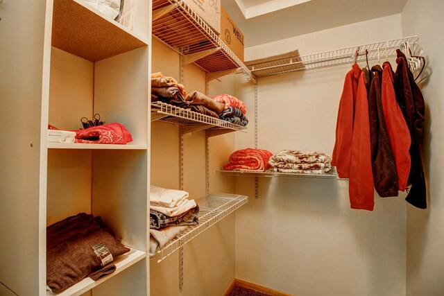 22896 Anchor Dr, Menahga, MN 56464 - view of spacious closet