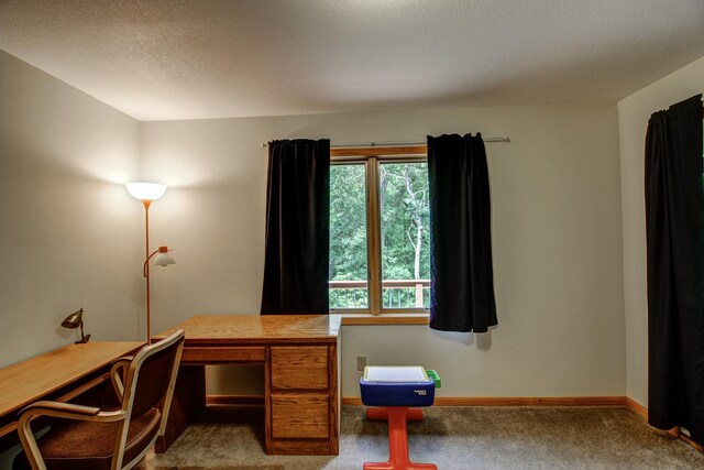 22896 Anchor Dr, Menahga, MN 56464 - carpeted home office with baseboards