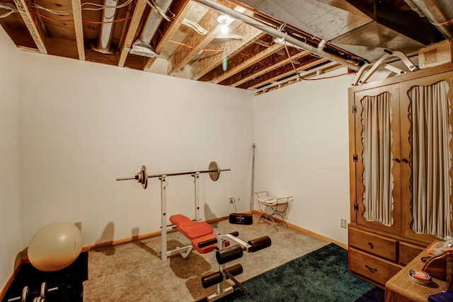 22896 Anchor Dr, Menahga, MN 56464 - exercise area featuring carpet