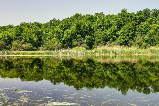 22896 Anchor Dr, Menahga, MN 56464 - water view with a heavily wooded area