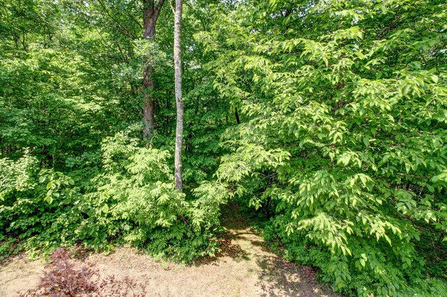 22896 Anchor Dr, Menahga, MN 56464 - view of wooded area