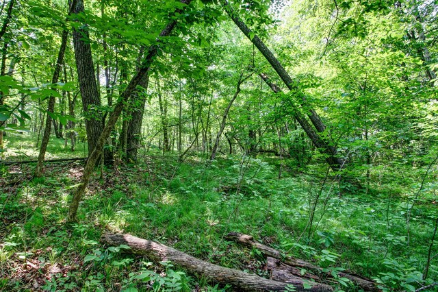 22896 Anchor Dr, Menahga, MN 56464 - view of wooded area