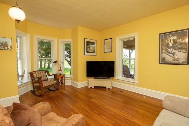 10706 65th Ave SE, Stewartville, MN 55976 - living area featuring hardwood / wood-style flooring and a textured ceiling