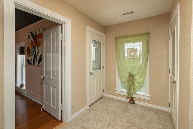 10706 65th Ave SE, Stewartville, MN 55976 - foyer entrance featuring baseboards