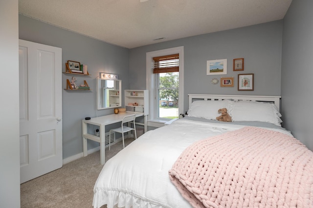 10706 65th Ave SE, Stewartville, MN 55976 - carpeted bedroom with baseboards