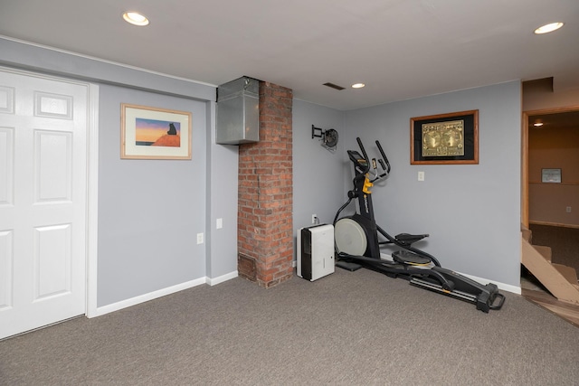 10706 65th Ave SE, Stewartville, MN 55976 - workout room featuring carpet floors and recessed lighting