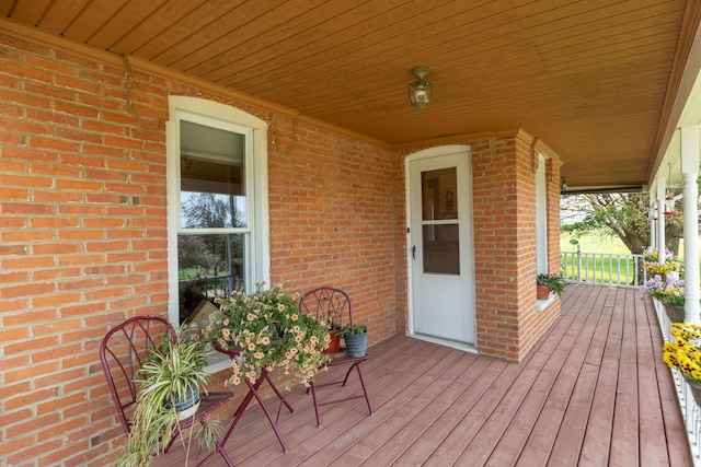 10706 65th Ave SE, Stewartville, MN 55976 - view of wooden porch
