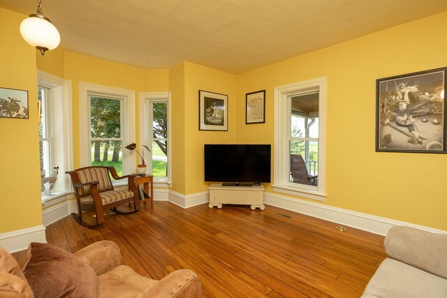 10706 65th Ave SE, Stewartville, MN 55976 - photo 30